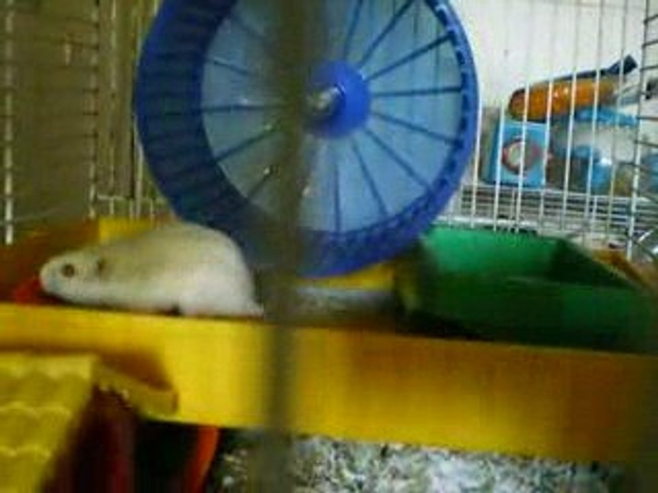 Louna 0509