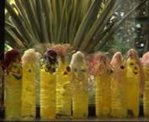 Téléthon 2008 à POISSY