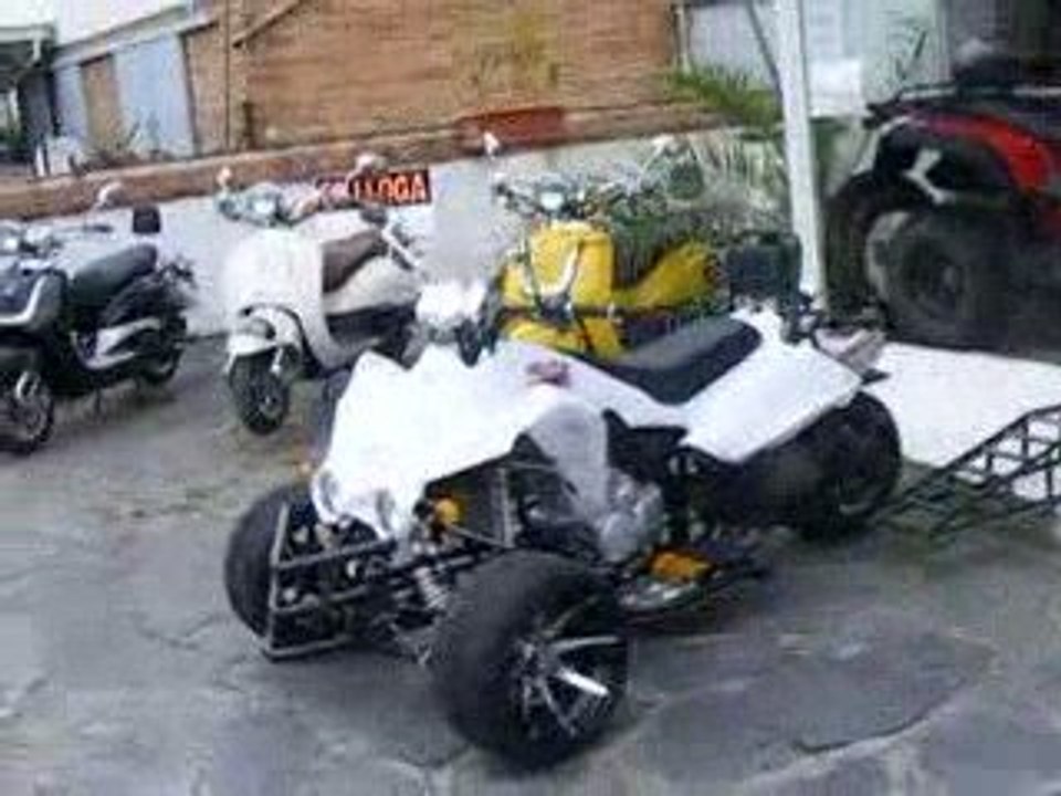 STREET QUAD  COBRA-SCORPION