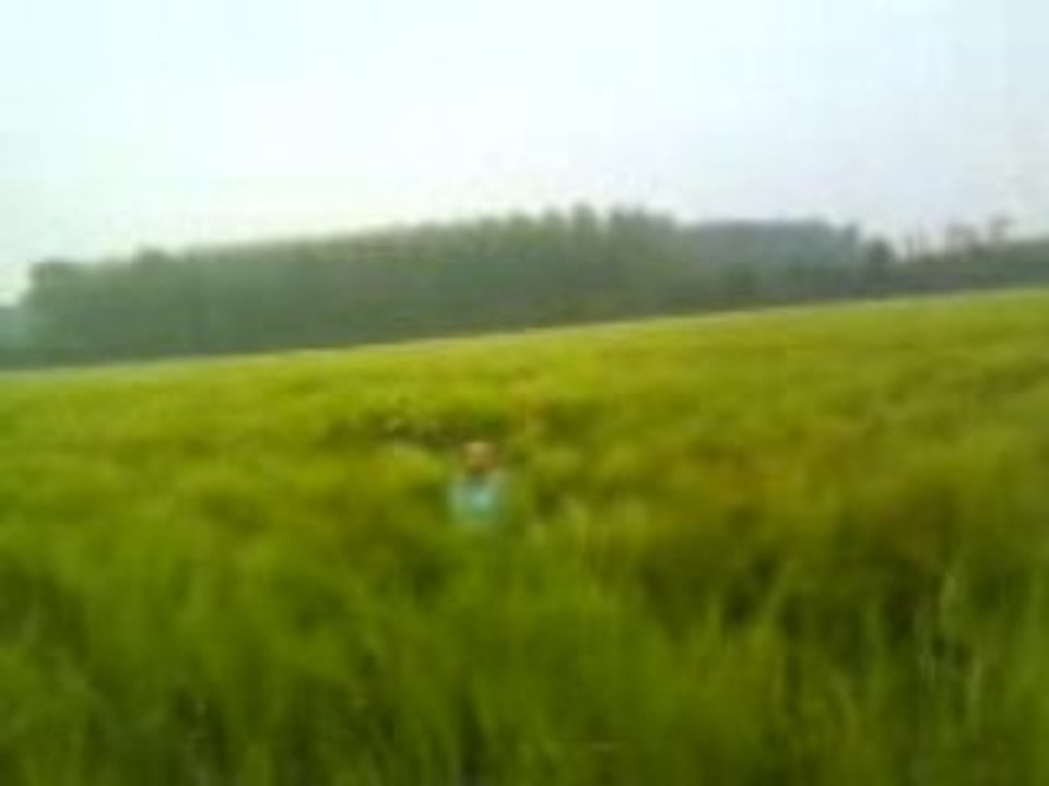 .Clem a Sainghin