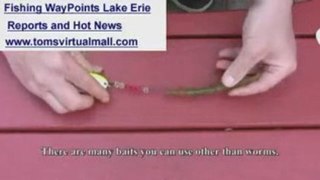 How to Catch Walleye Erie
