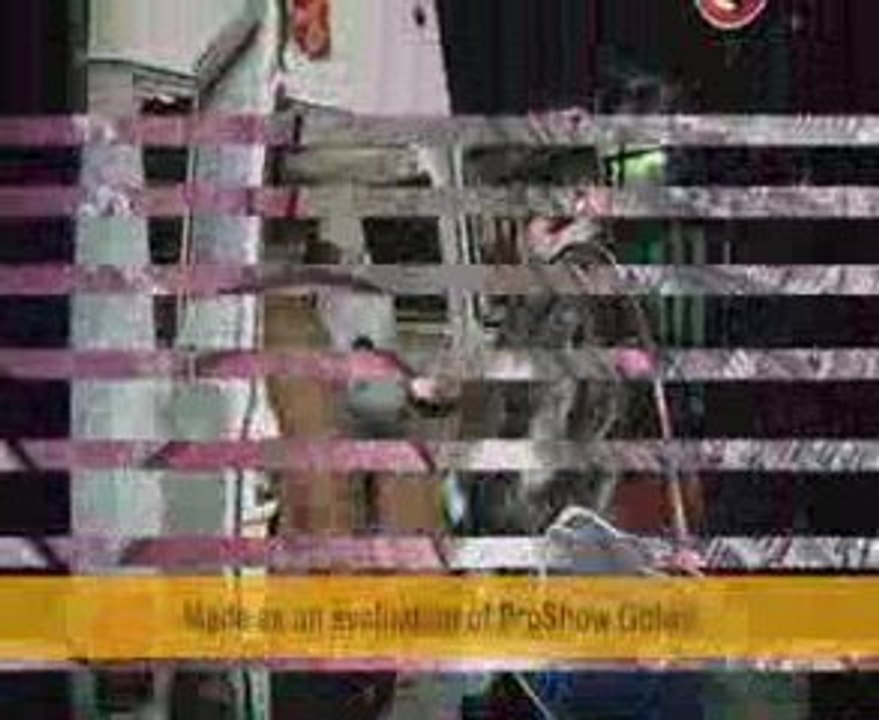 Histoire de sdf