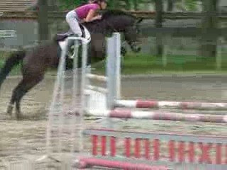 Orhia des Monts jument SF, 7 ans en vente aux Ecuries D'urfé