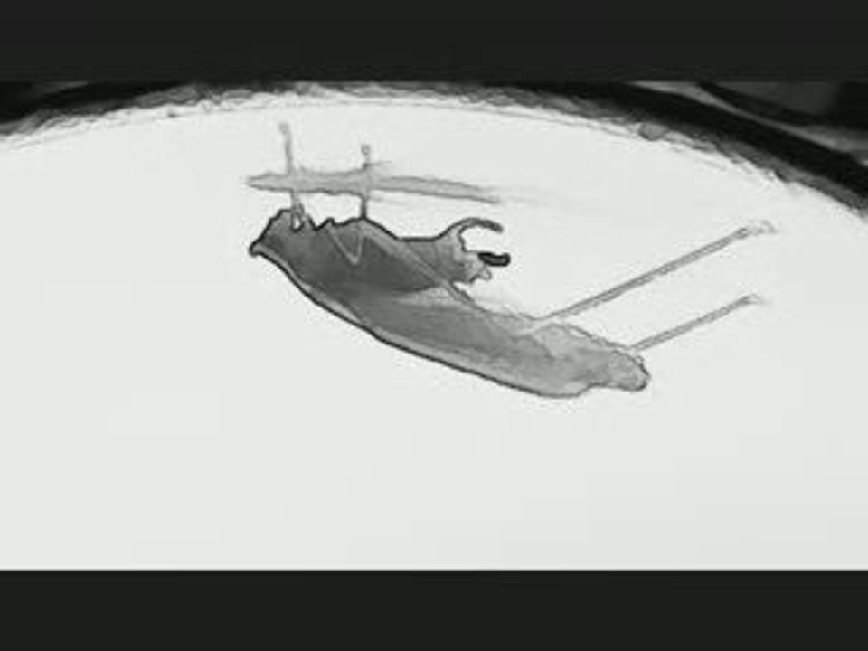 Ricardo Villalobos - Fizheuer Zieheuer