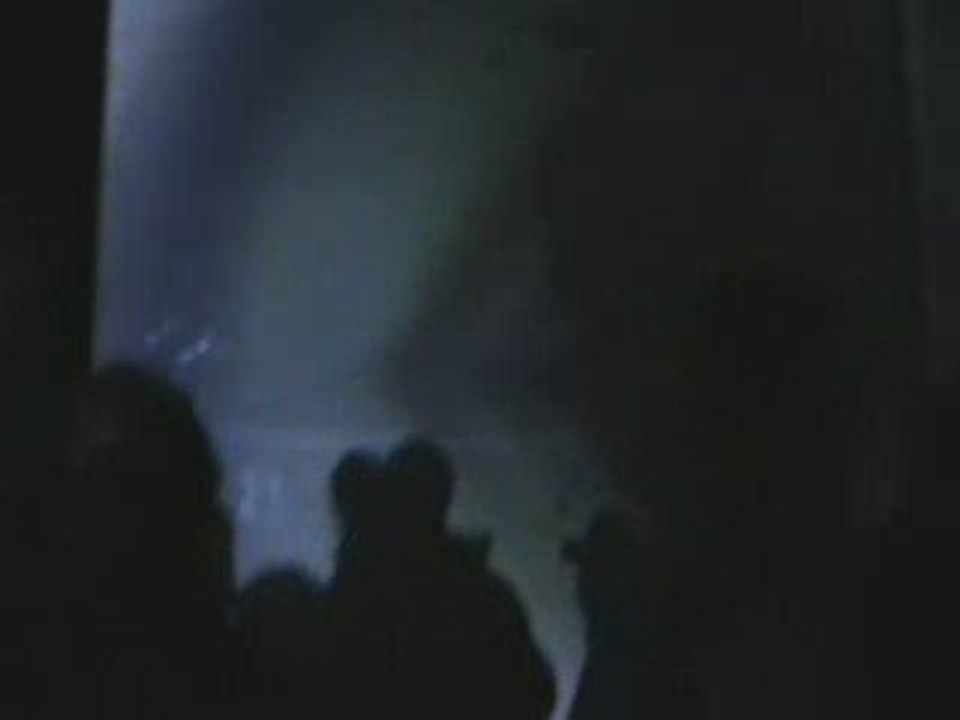 the fat party/le manege dejante