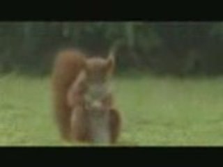 Free English Speaking Course by www.englishurban.blogspot.co