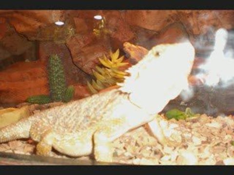 Aquarium du Périgord Noir