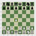 Torre Introduces the Torre Attack - Chess Video