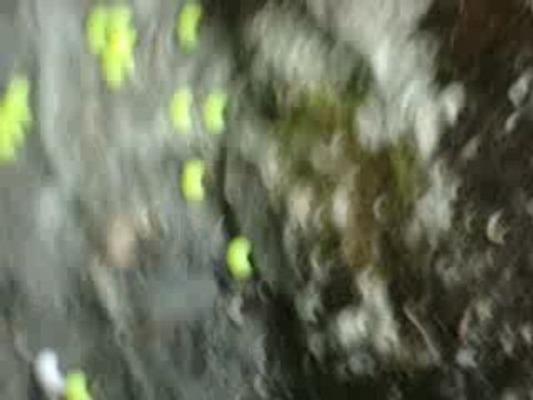 grenade a bille,test ^^