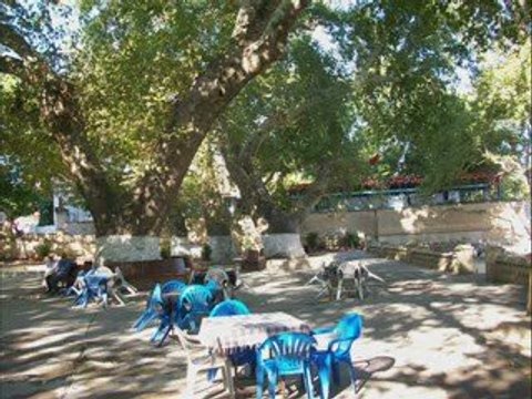 Çınar altı Bir çay Molası