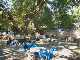 Çınar altı Bir çay Molası