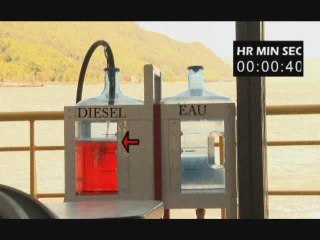 Croisières aux baleines