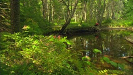 Trailer | Behold The Earth