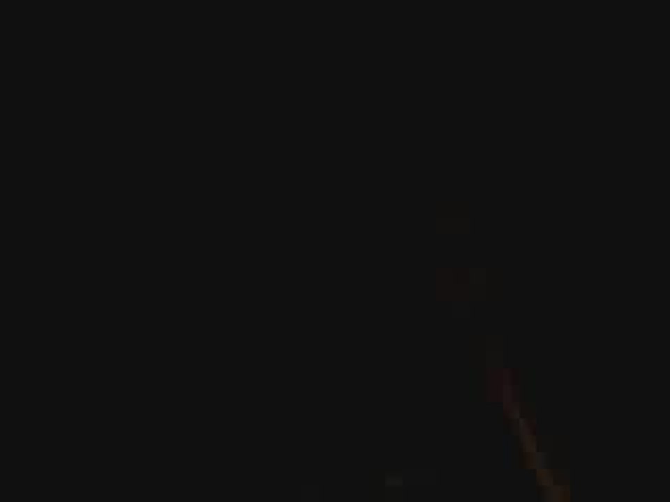 bow wow u can get it all