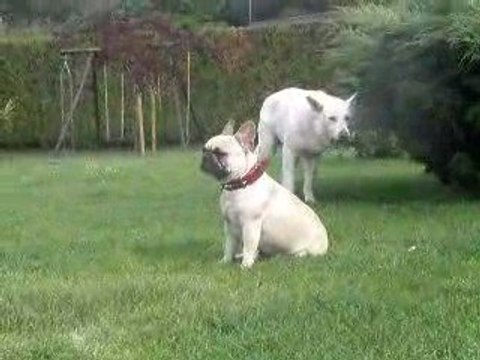 ciara et son mauvais caractère