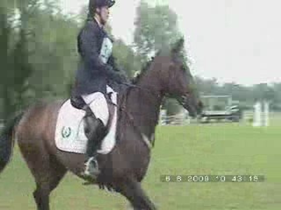 Cso nénufar fontenay