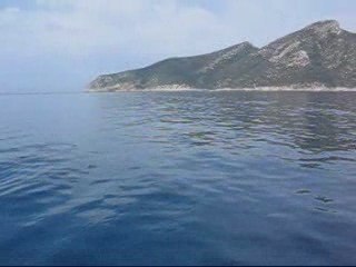 BalearesSolo Flipper et les dauphins Mallorque Ile du Dragon