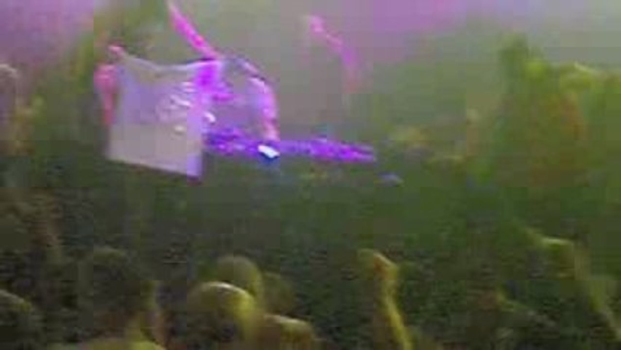 Other DJ 1