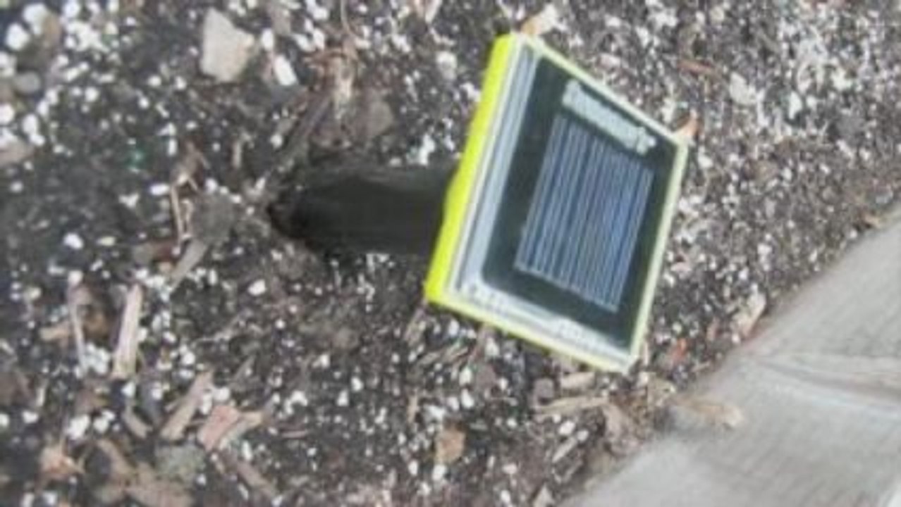 Solar Moler