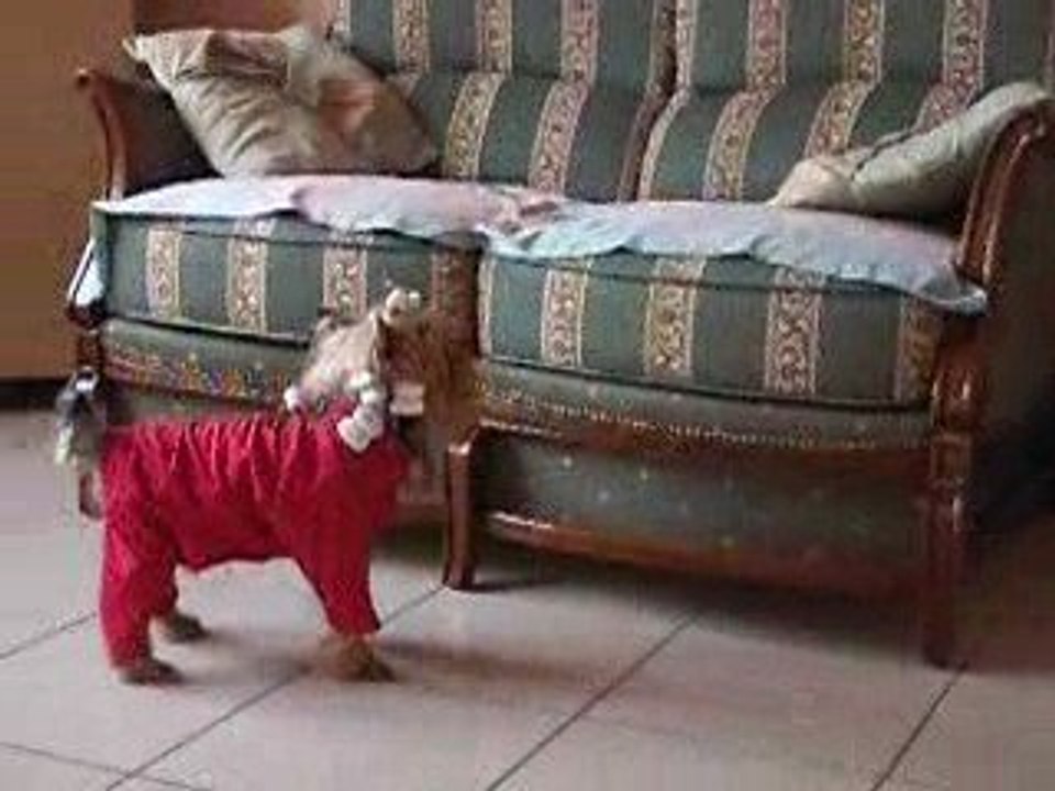 D V vidéo 005