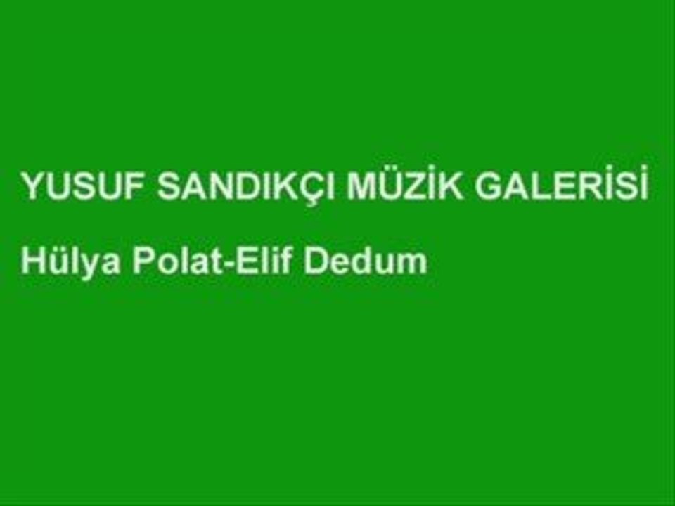 Hulya Polat-Elifdedum