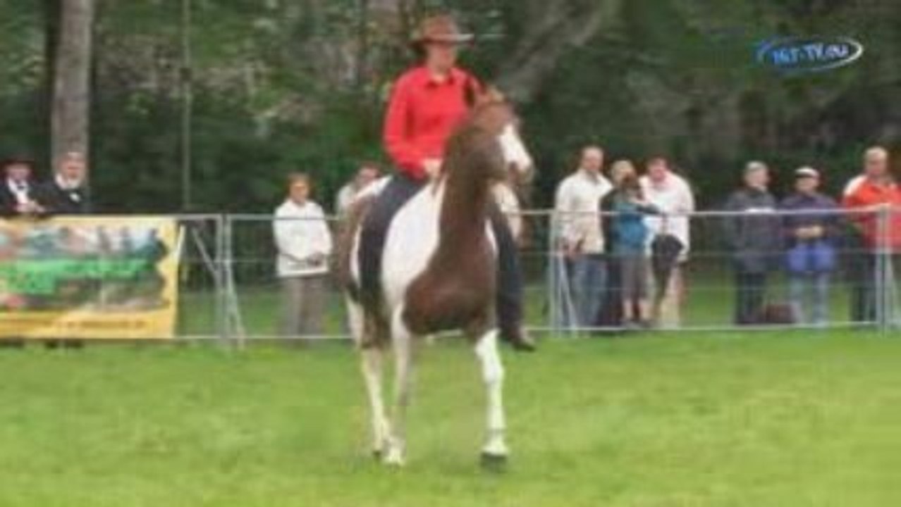 Equipage 2009 in Bad Elster