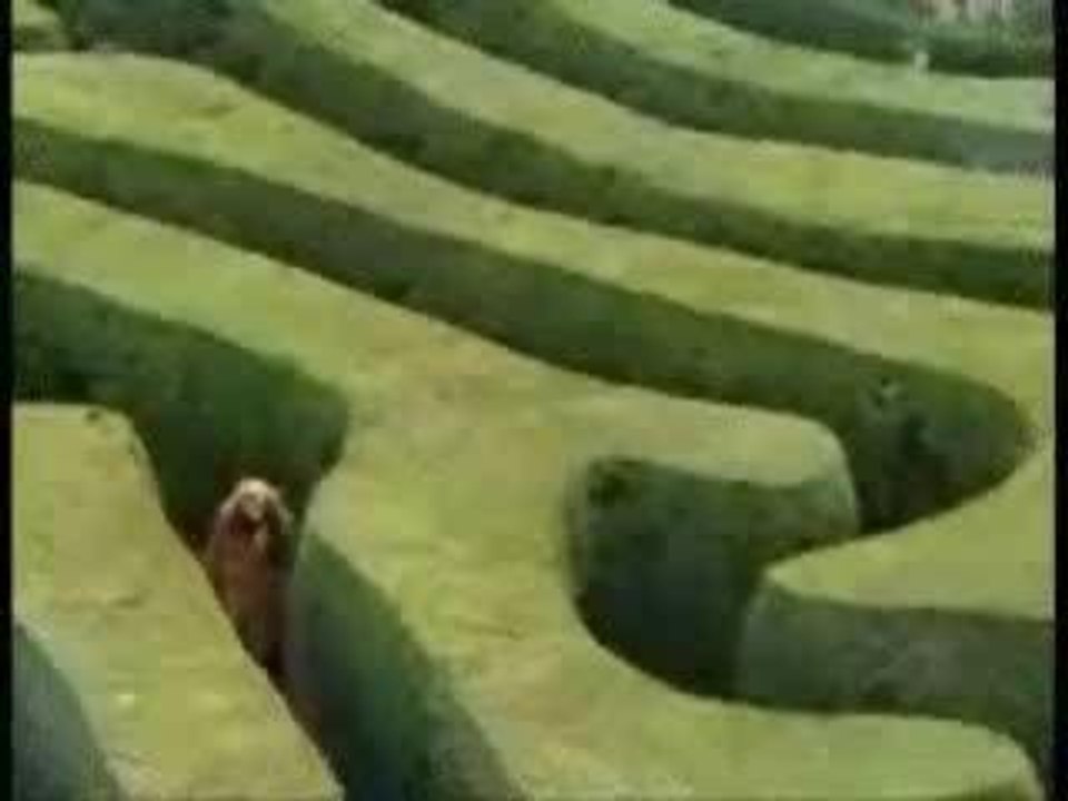 Labyrinth