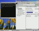 WINDOWS XP/Formation Video - Modifier le nom d'un disque