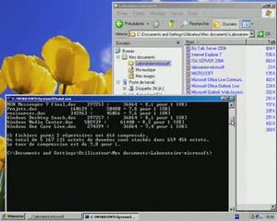 WINDOWS XP/Formation video - Compresser des fichiers