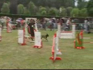 CDF 2EE DEGRE C M2 CARANCA