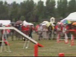 CDF 2009 ROLLINGS M2