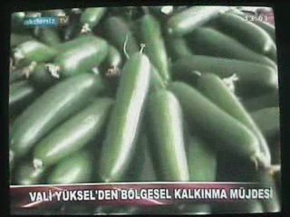 Antalya Valisi Sn.Alaattin Yüksel'den Akdeniz Vitrinine özel