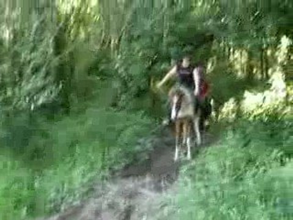 Petit saut d'une petite flaque...