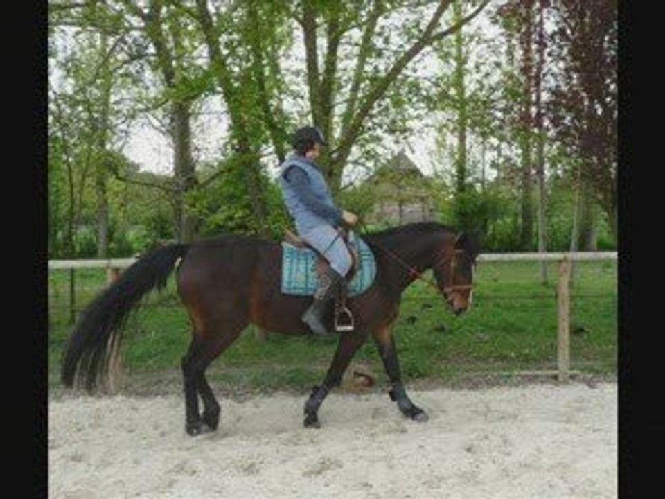 Razièleplat