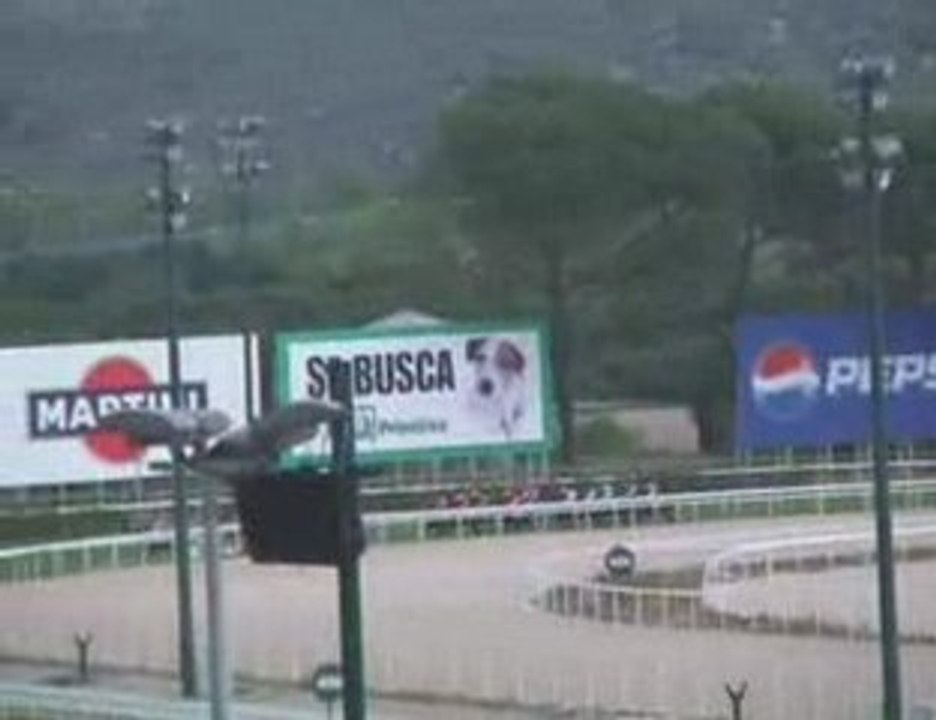 2009 (128) Premio LOTERIAS Y APUESTAS DEL ESTADO (H) (OSADO)