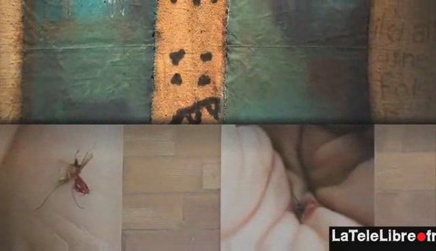 CASE BLANCHE, CASE NOIRE