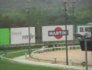 2009 (129) P. VIZCONDESA DE IRUESTE (CAT. C) (PITUSS -GB-)