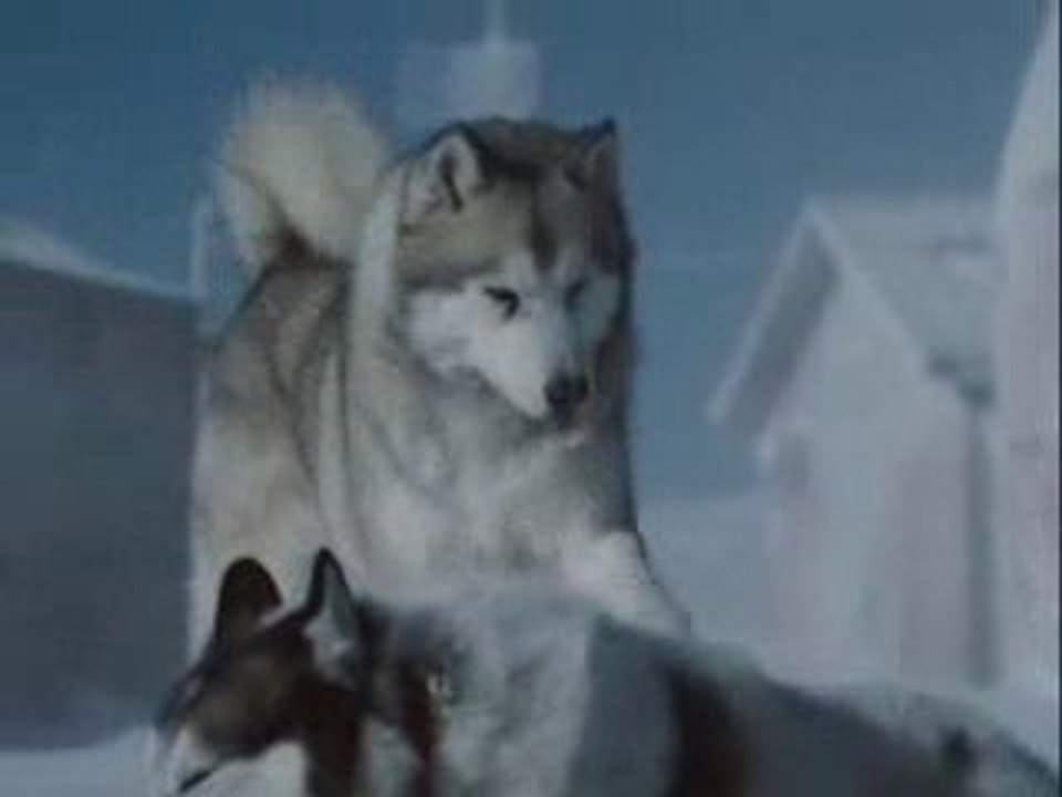 ***ANTARTICA***hervé***