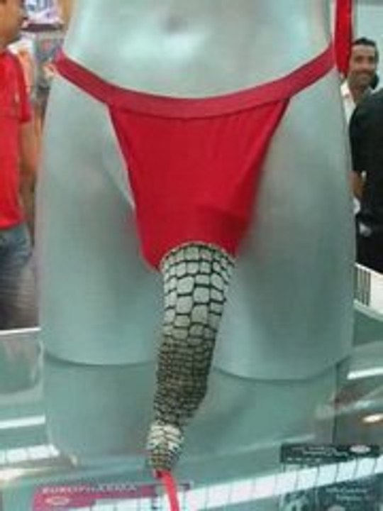 Serpiente con lengua bífida