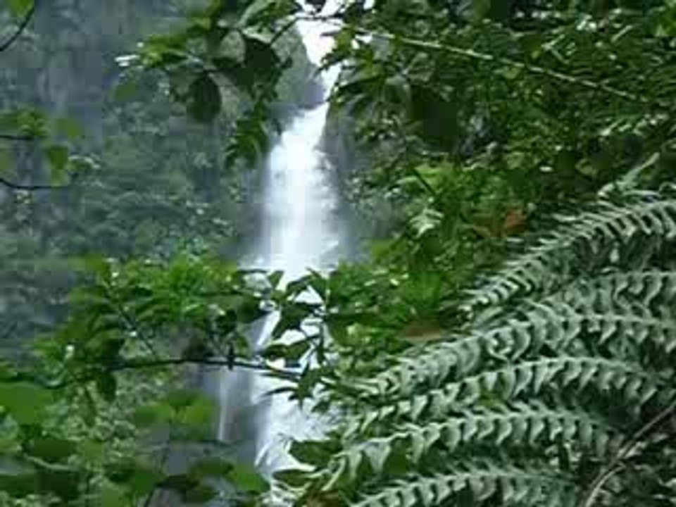 2ème chute du carbet
