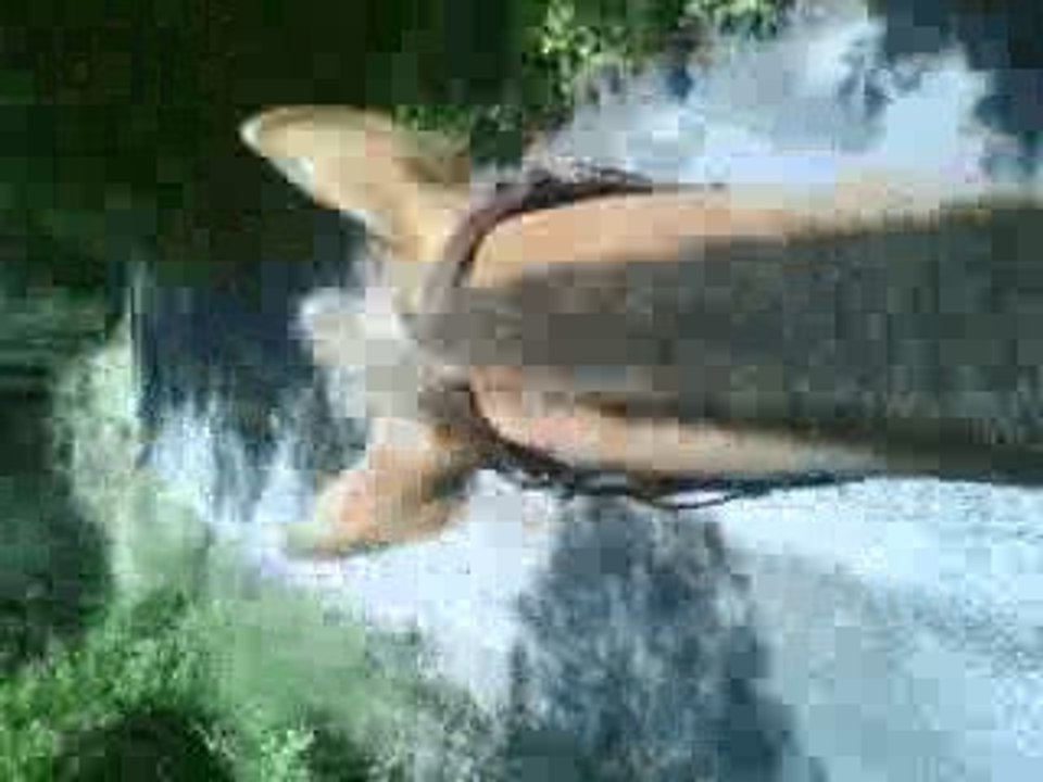 MOV00164
