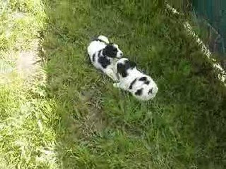MOV04605