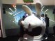 Ubisoft lâche ses lapins crétins à l'E3