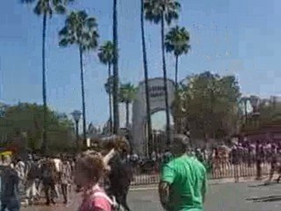 Universal studio