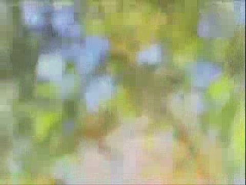 MF Doom - My Favorite Ladies Remix by Dee La Kream