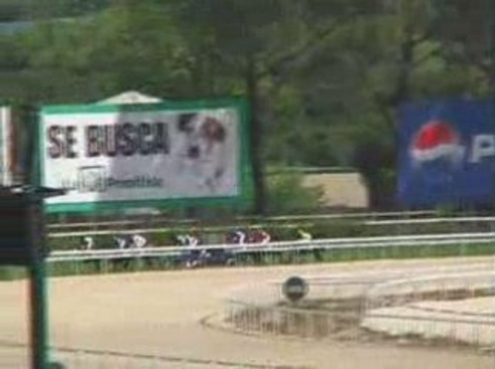 2009 (133) Premio AEGRI (H) (EL MAGO -IRE-)