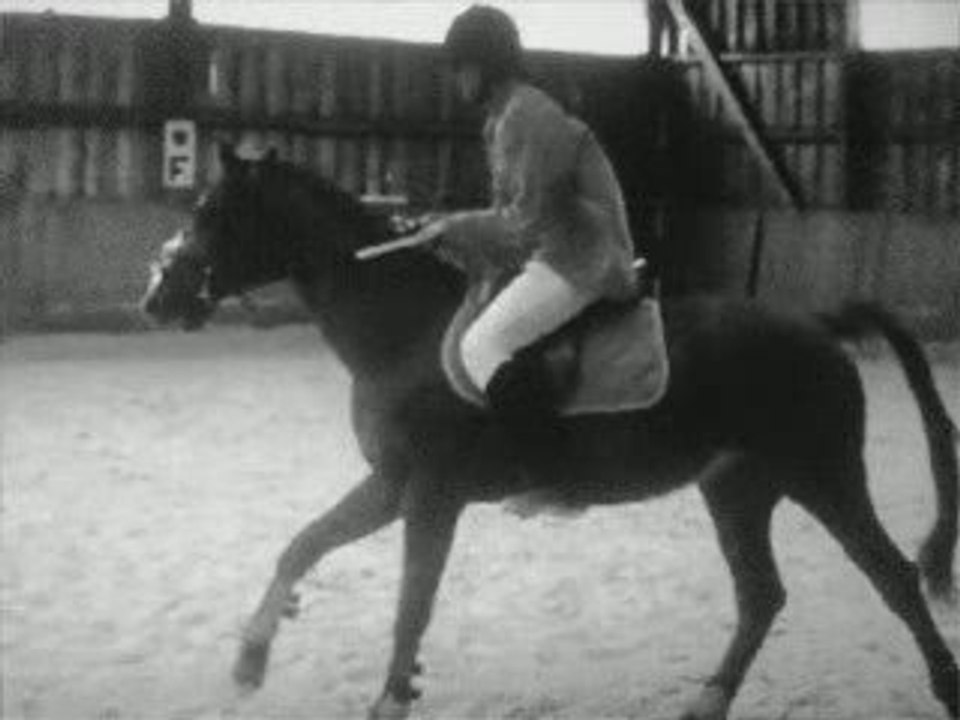 Gabelou