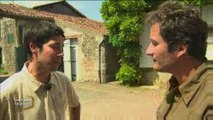 Histoires de Vendée : Les Vignes de Vendée