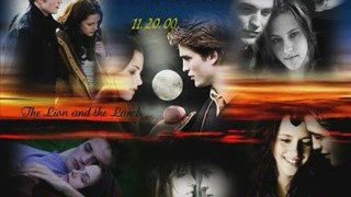 Montage twilight enia