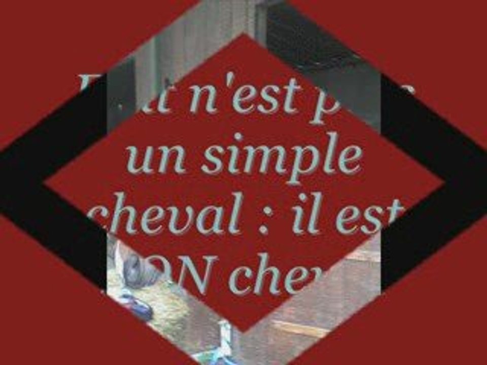 Montage de Océane et d'Edit